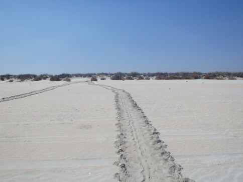 Turtle tracks - wide as a truck tyre