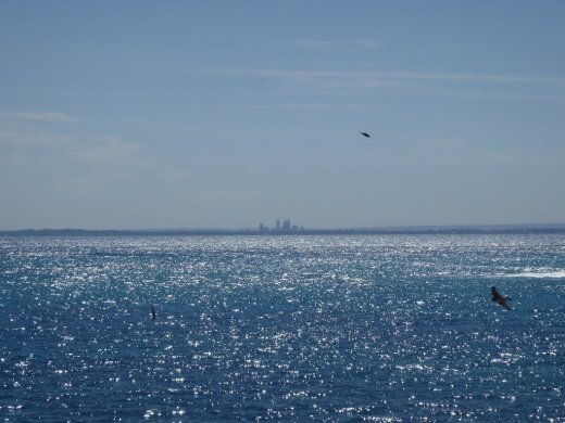 Taken from Rottnest, so clearly not in Perth. Why am I making such a  big deal of that?